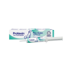 Pro-kolin Advance Pet Syringe (L) - Animeal