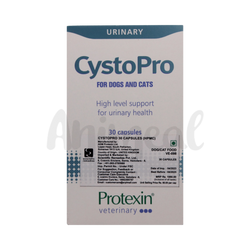 Protexin Cystopro Capsule for Dogs and Cats, 30 Capsules - Animeal