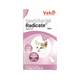 RADICATE CAT SPOT ON