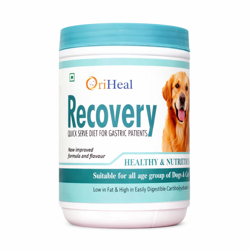 RECOVERY POWDER - Animeal