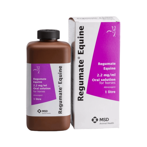 REGUMATE EQUINE LIQUID - Animeal