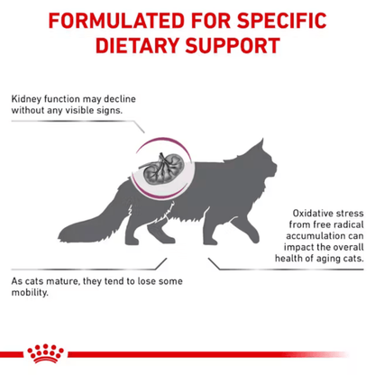 ROYAL CANIN EARLY RENAL CAT DRY FOOD (XS) - Animeal