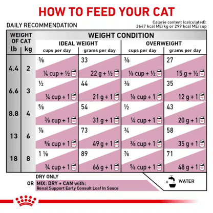 ROYAL CANIN EARLY RENAL CAT DRY FOOD (XS) - Animeal