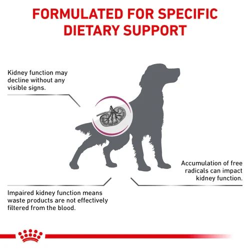 ROYAL CANIN EARLY RENAL DOG DRY FOOD 2KG - Animeal