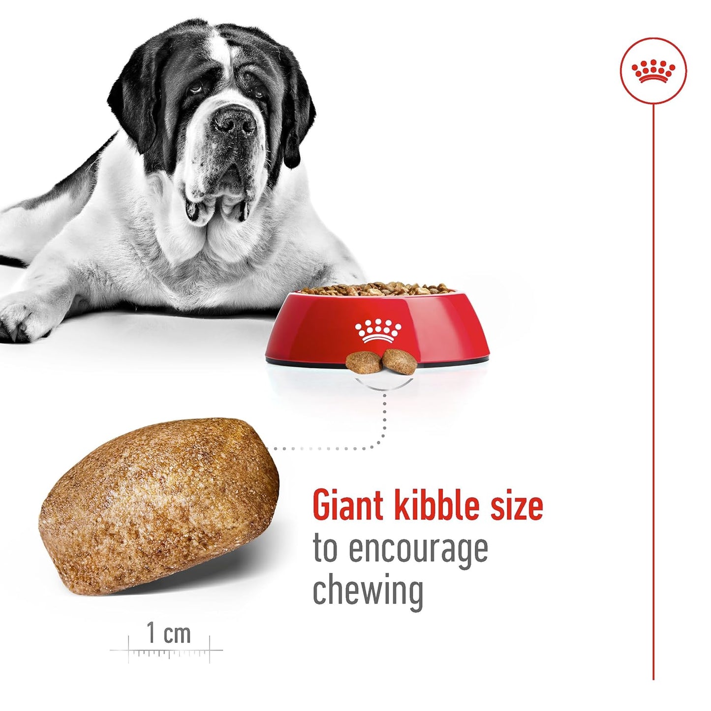 ROYAL CANIN GIANT ADULT DRY FOOD [15 KG] - Animeal