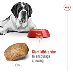 ROYAL CANIN GIANT ADULT DRY FOOD [15 KG] - Animeal