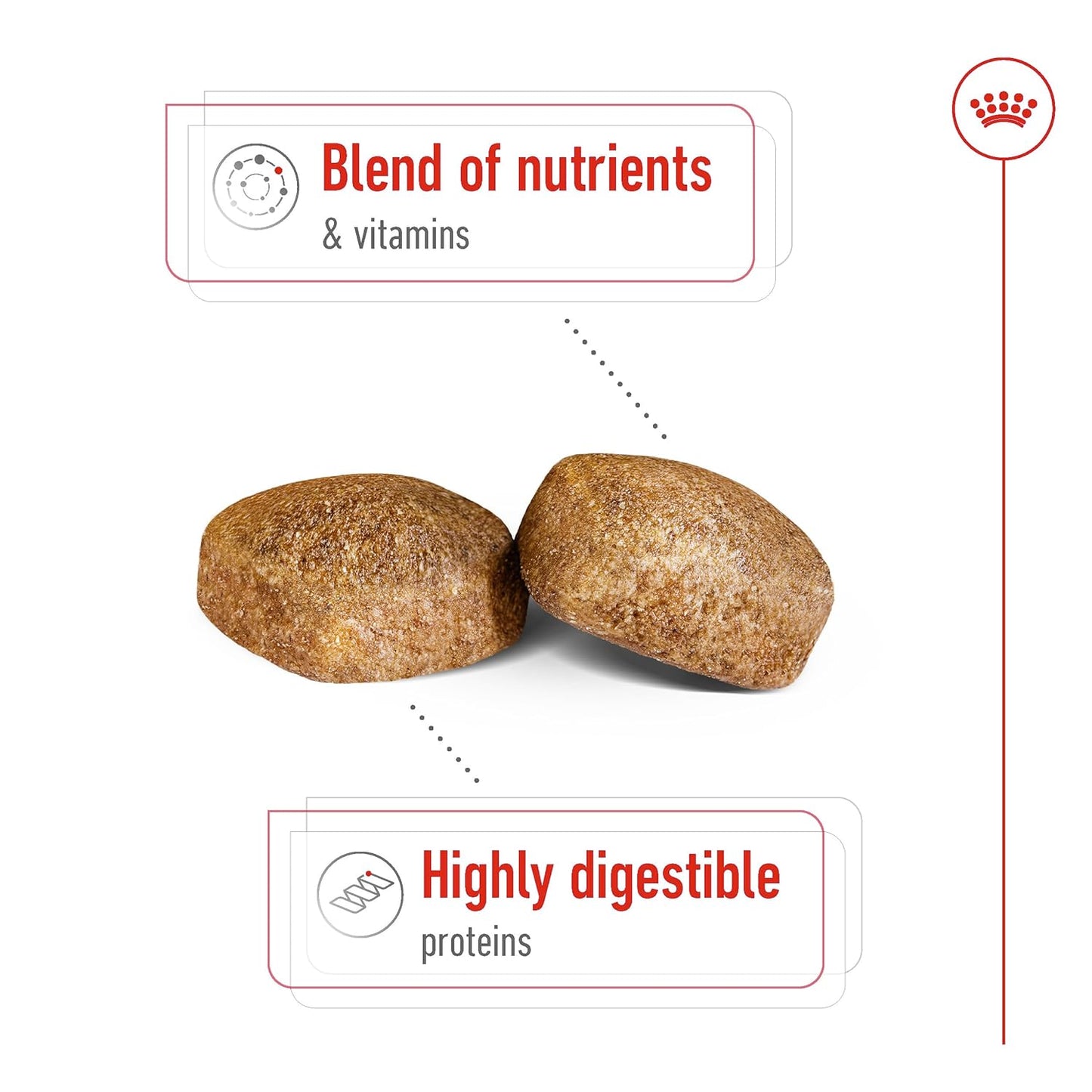 ROYAL CANIN GIANT ADULT DRY FOOD [15 KG] - Animeal