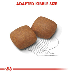 ROYAL CANIN GIANT JUNIOR DRY FOOD [15 KG] - Animeal