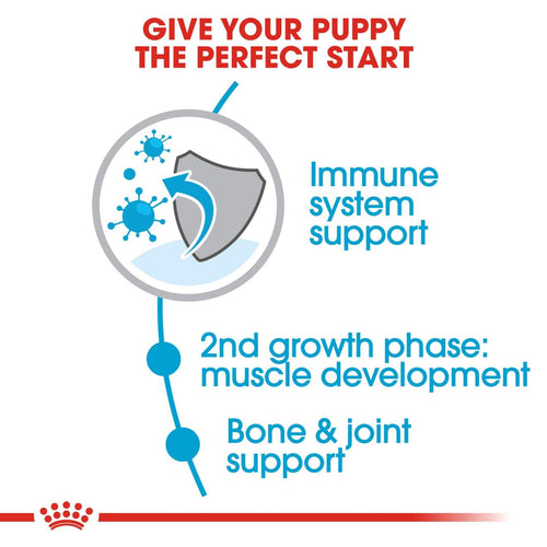 ROYAL CANIN GIANT JUNIOR DRY FOOD [15 KG] - Animeal