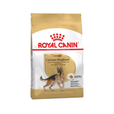 ROYAL CANIN GSD ADULT DRY FOOD [11 KG]
