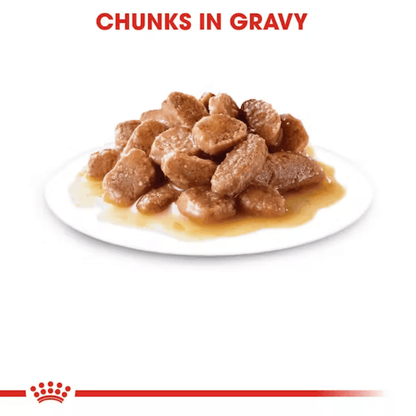 ROYAL CANIN HAIRBALL CARE CAT GRAVY [85 GM] - Animeal