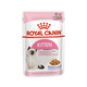 ROYAL CANIN KITTEN CAT JELLY [85 GM]