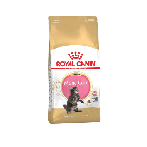 ROYAL CANIN KITTEN MAINE COON DRY FOOD [2 KG] - Animeal