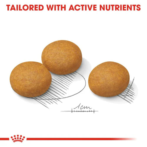 ROYAL CANIN MAXI DERMACOMFORT DOG DRY FOOD 3KG - Animeal