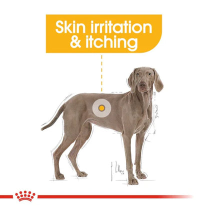 ROYAL CANIN MAXI DERMACOMFORT DOG DRY FOOD 3KG - Animeal