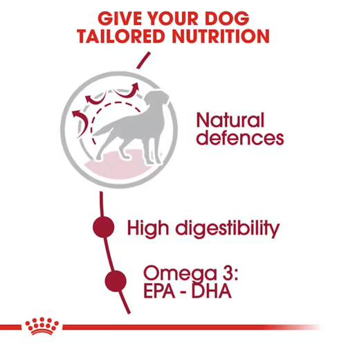 ROYAL CANIN MEDIUM ADULT DRY FOOD [10 KG] - Animeal