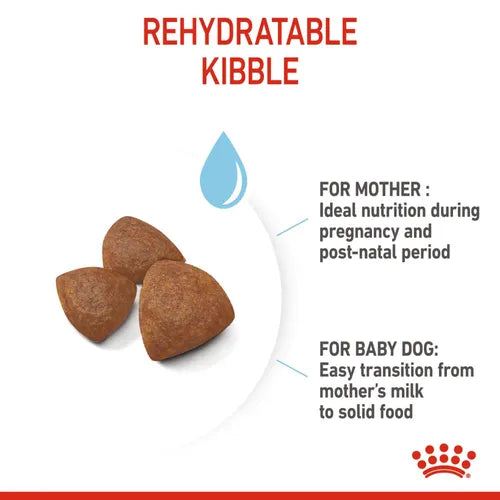 ROYAL CANIN MEDIUM STARTE DRY FOOD [4 KG] - Animeal