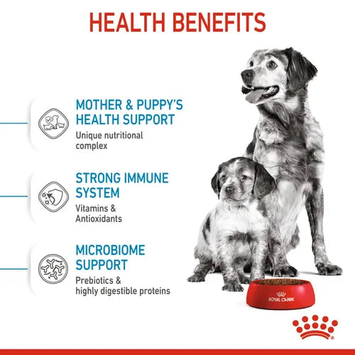 ROYAL CANIN MEDIUM STARTE DRY FOOD [4 KG] - Animeal