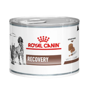 ROYAL CANIN RECOVERY CAN FOOD [195 GM] - Animeal