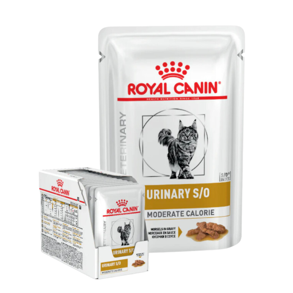 ROYAL CANIN URINARY S/O MODCAL CAT GRAVY POUCH [85 GM] - Animeal