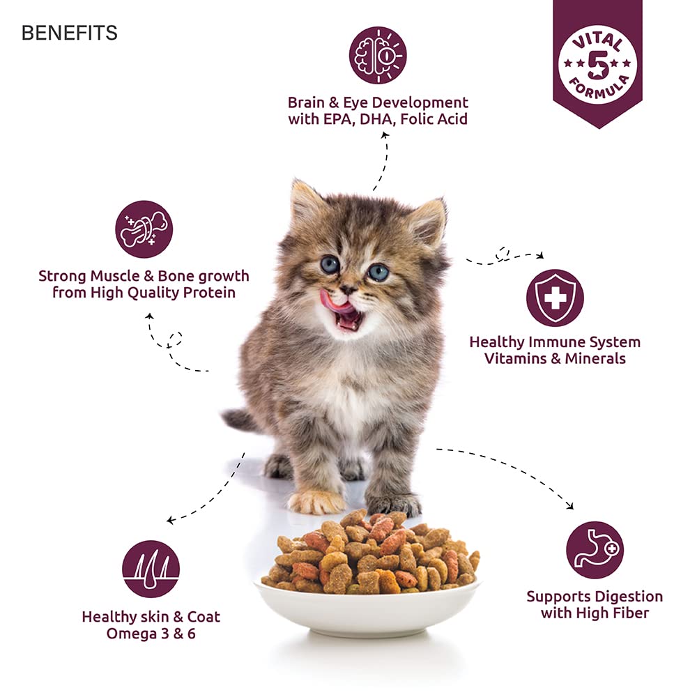 Rossari Toptail Kitten Salmon and Chicken Dry Cat Food, 400g - Animeal
