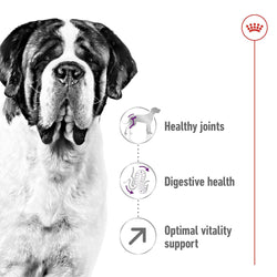 Royal Canin Giant Adult Dry Dog Food, 15kg - Animeal