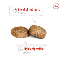 Royal Canin Giant Adult Dry Dog Food, 15kg - Animeal