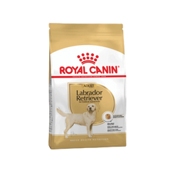 Royal Canin Labrador Retriever Adult Dry Dog Food, 12kg - Animeal