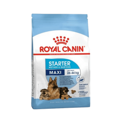 Royal Canin Maxi Starter Mother and Babydog Dry Dog Food, 15kg - Animeal