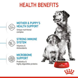 Royal Canin Medium Starter Mother and Babydog Dry Dog Food, 4kg - Animeal
