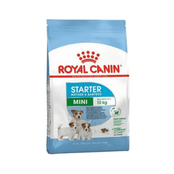 Royal Canin Mini Starter Mother and Babydog Dry Dog Food, 4kg - Animeal