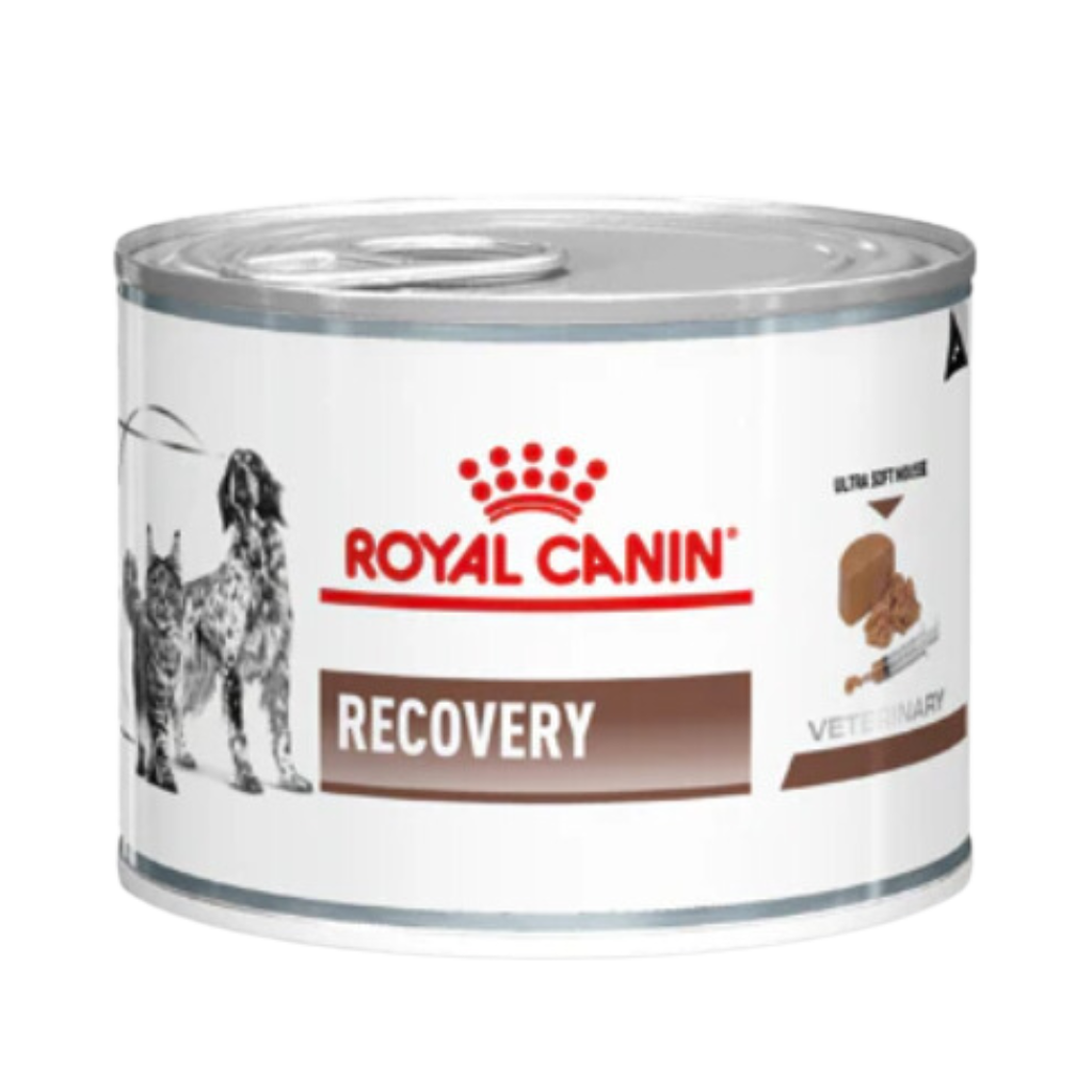 Royal Canin Recovery Wet Dog and Cat Food, 195g Can - Animeal