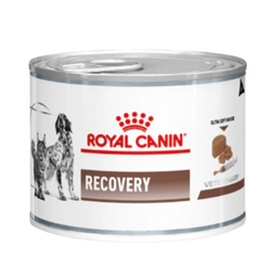 Royal Canin Recovery Wet Dog and Cat Food, 195g Can - Animeal