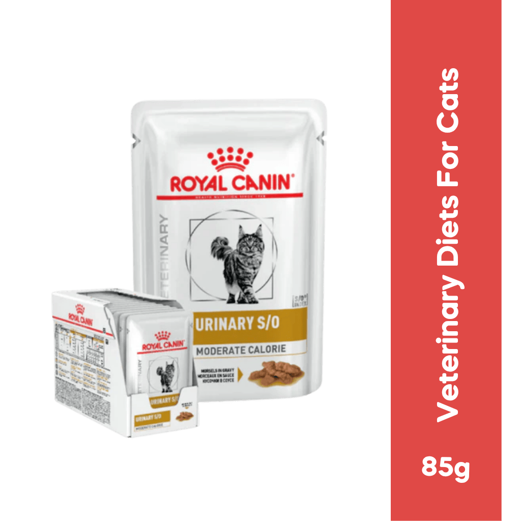 Royal Canin Urinary S/O Moderate Calorie Wet Cat Food in Gravy, 85g - Animeal