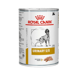 Royal Canin Urinary S/O Wet Dog Food, 410g Can - Animeal
