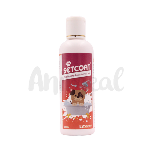 SETCOAT CHG 5% SHAMPOO - Animeal