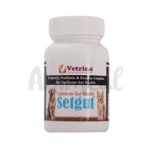SETGUT PET POWDER - Animeal