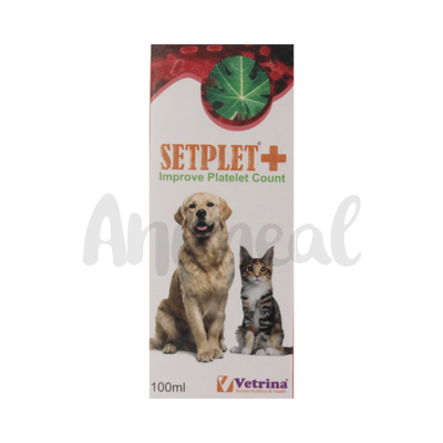 SETPLET PLUS SYRUP - Animeal