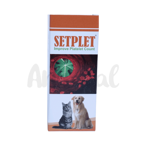 SETPLET SYRUP - Animeal