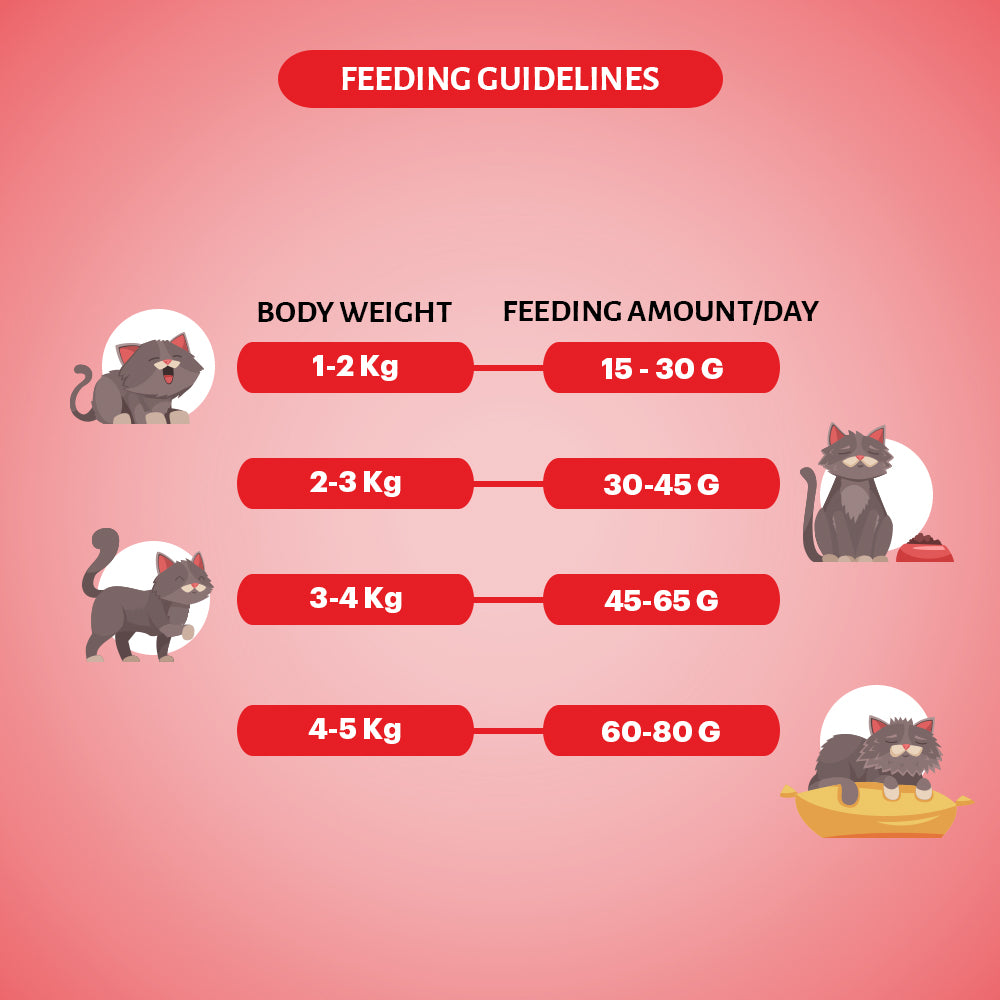 SIGNATURE CAT ADULT SALMON DRY FOOD [1.2KG] - Animeal
