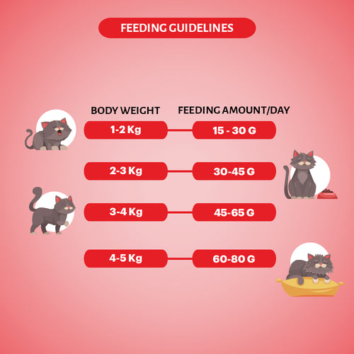 SIGNATURE CAT ADULT SALMON DRY FOOD [1.2KG] - Animeal
