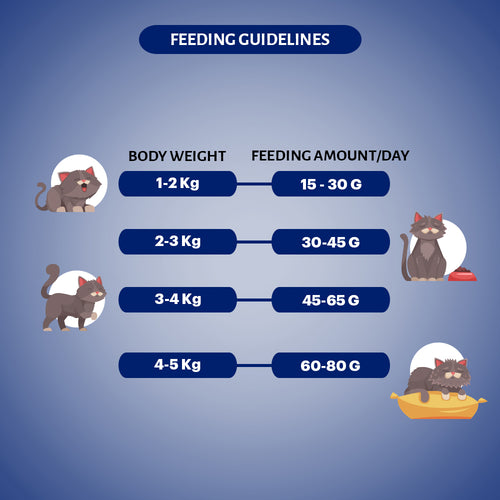 SIGNATURE CAT ADULT SEAFOOD DRY FOOD [1.2KG] - Animeal