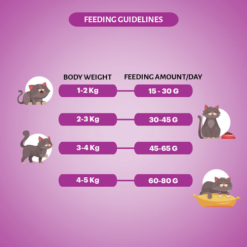 SIGNATURE CAT ADULT TUNA DRY FOOD [1.2KG] - Animeal