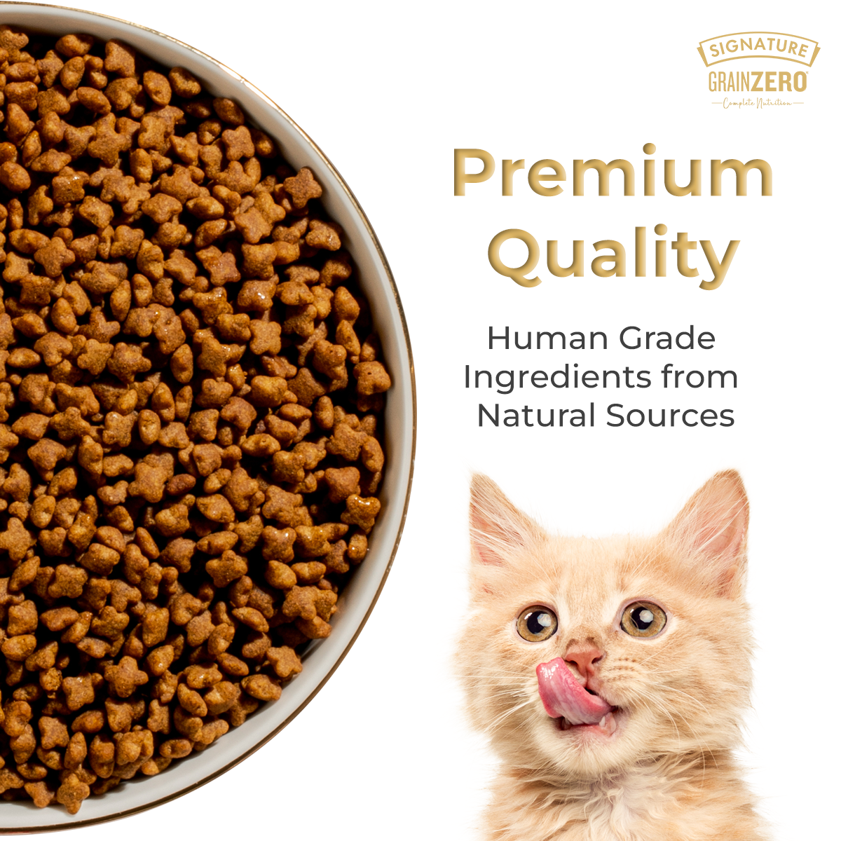 SIGNATURE GRAIN ZERO CAT ADULT - Animeal