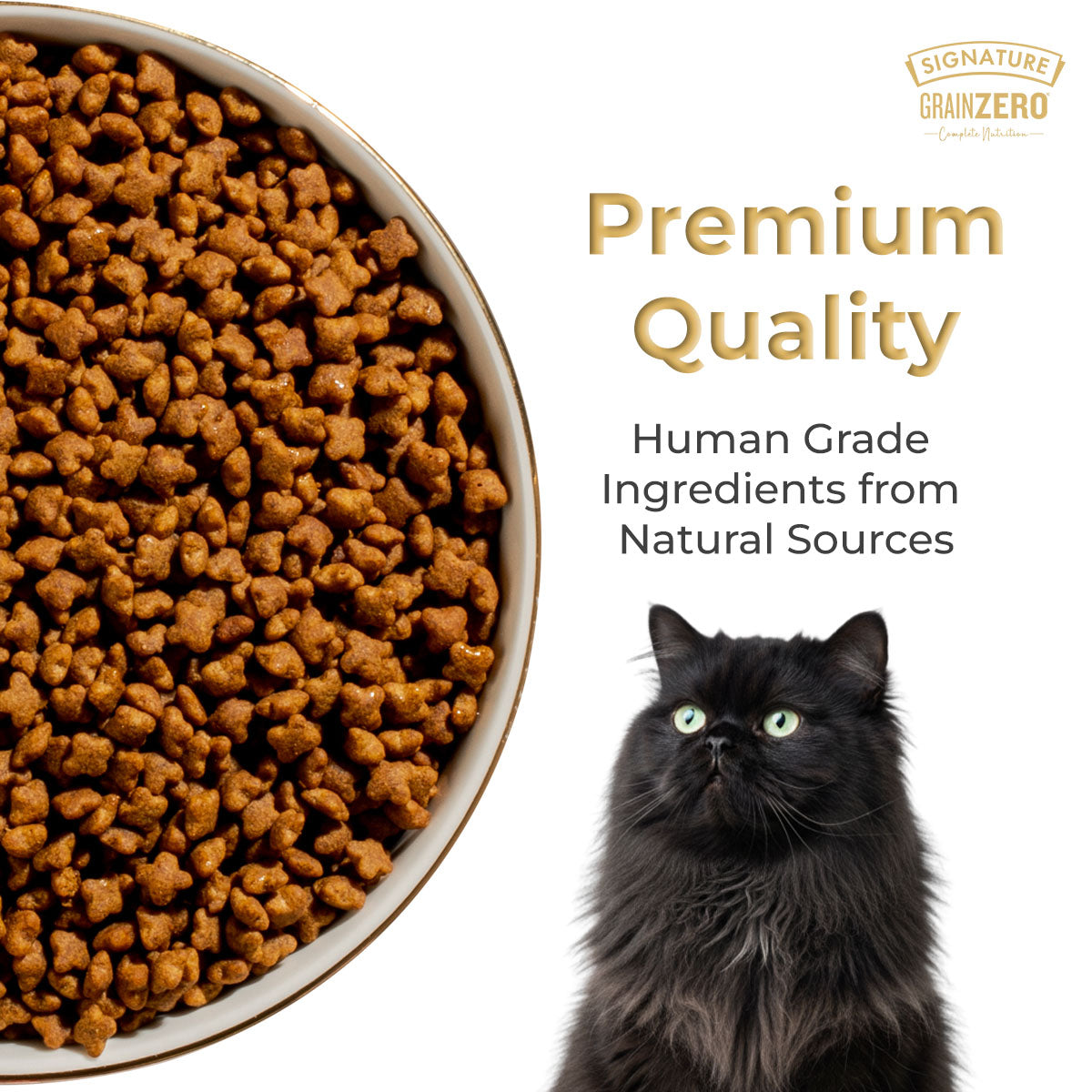 SIGNATURE GRAIN ZERO PERSIAN DRY FOOD (M) - Animeal
