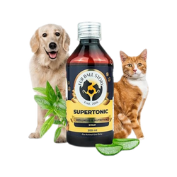 SUPERTONIC SYRUP - Animeal