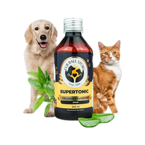 SUPERTONIC SYRUP - Animeal