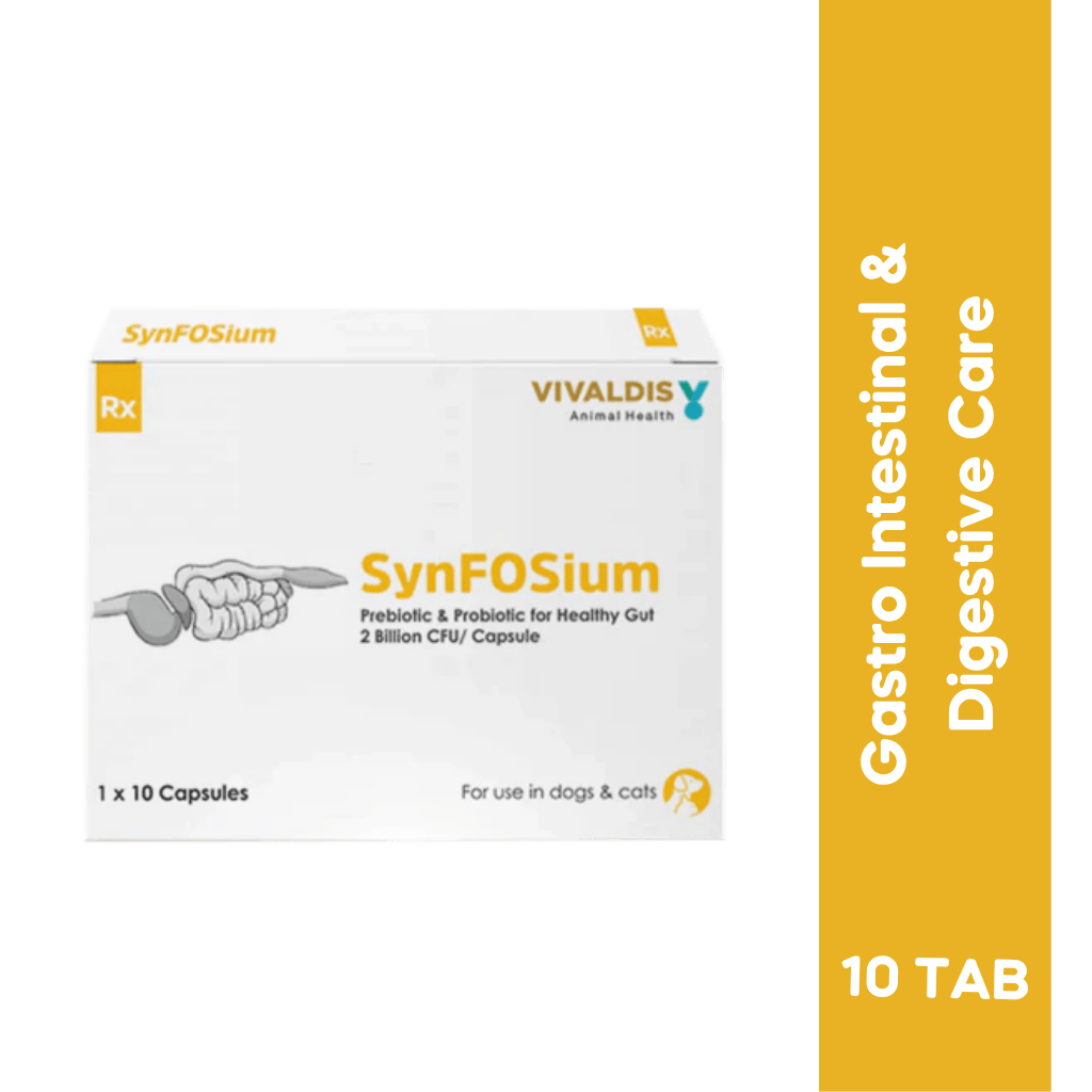 SYNFOSIUM CAPSULE - Animeal