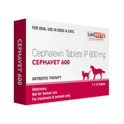 Sava Vet Cephavet 600 Cefalexin Tablets for Dogs, 10 Tablets - Animeal