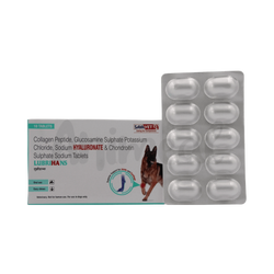 Sava Vet Lubrihans Joint Support Tablets for Dogs, 10 Tablets - Animeal